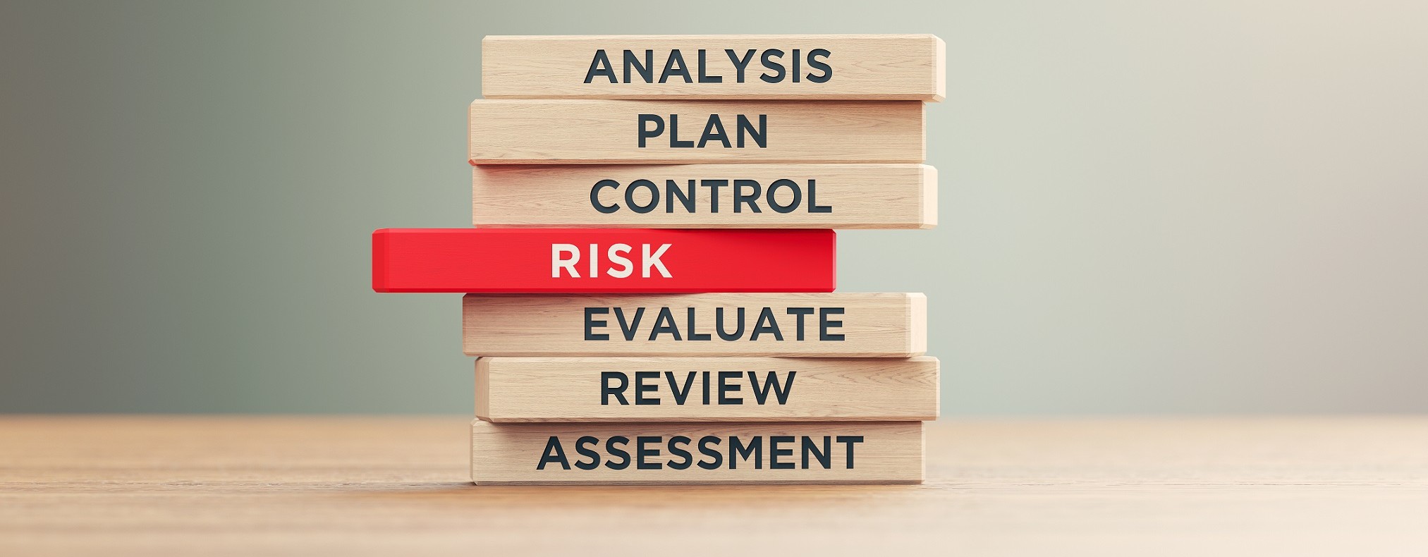 Analysis - Plan - Control - Risk - Evaluate - Review - Assessment
